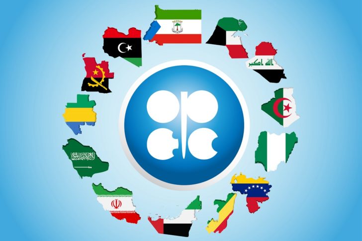 OPEC_Logo_Laender_Landkarten-17